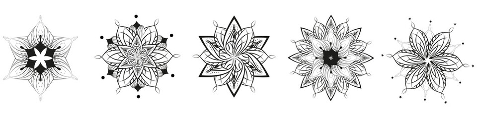 Hand drawn flowers, vector illustration. Floral vintage sketch.
