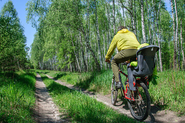 Naklejka premium Dad rides his daughter on a bicycle in a bicycle seat on a spring birch grove