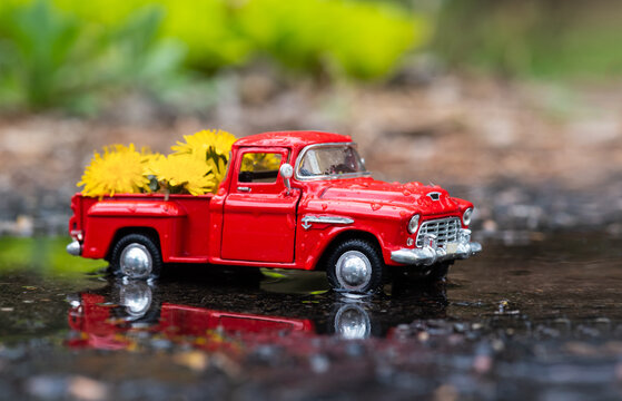Concept image decorative macro toy red pick up truck with box full of yellow dandelions. Shallow depth of field with rain and reflective ground. 