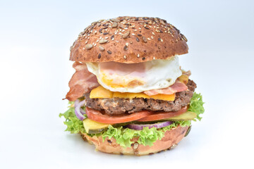 Fresh tasty burger with onions and tomatoes 