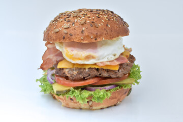 Fresh tasty burger with onions and tomatoes 