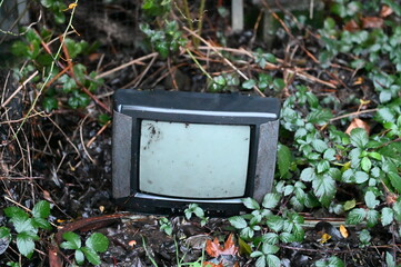 Alter Fernseher im Laub