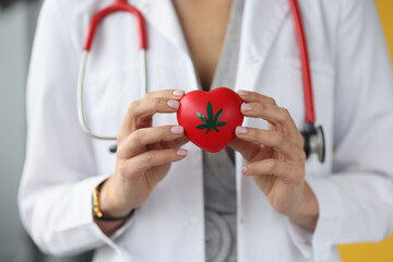Doctor holds heart with marijuana sign closeup