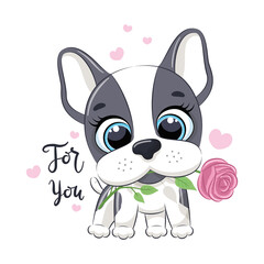 Cute little dog with flower. Happy Valentine's day clipart.