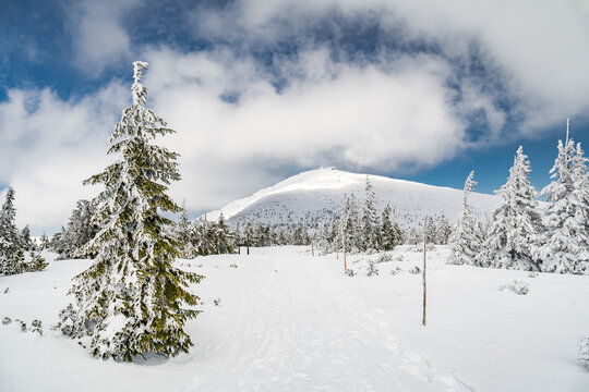 View to a hiking trail which leads to a summit of Snezka mountain, the highest Czech mountain. Located on a border with Poland. Winter picture of Krkonose national park.