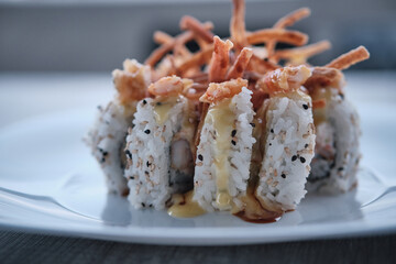 sushi roll plant with blur background