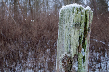 Fence pole covered with snow in Swedish countryside. Negative space for text