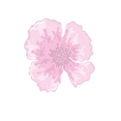 flower delicate floral painting isolated design