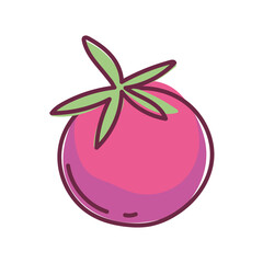 fresh tomato vegetable food, line and fill icon