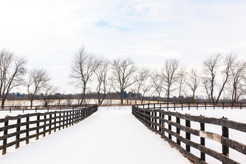 Looking down a lane between two fenced paddocks with snow on the ground and trees in the background.
