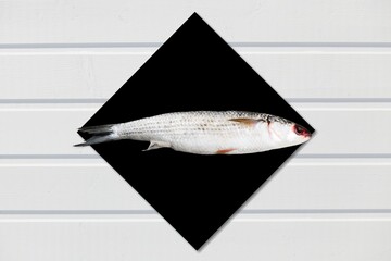Fish.