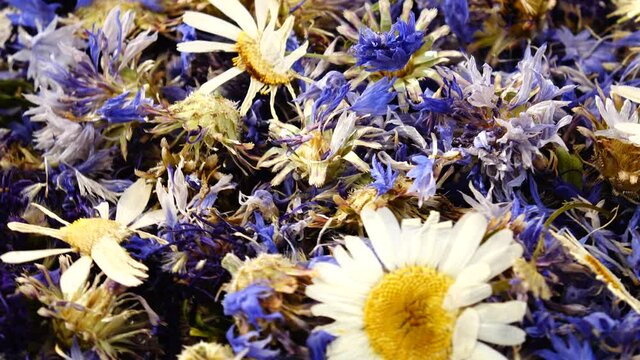 Dried flowers of cornflowers and chamomile, background