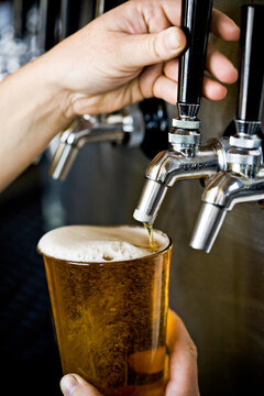 Detail shot of a caucasian bartender's hands filling a pint of beer from a line of several taps.