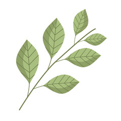 branch foliage plant nature decoration cartoon icon isolated style