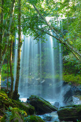 waterfall in the forest