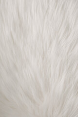 Obraz premium white fur texture full background.