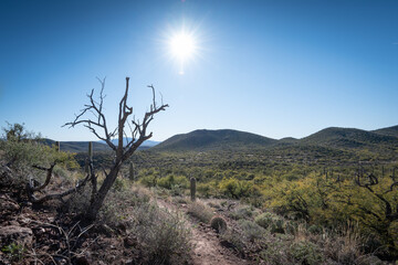 Colossal Cave Mountain Park