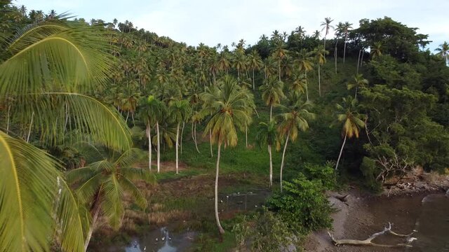playa caribe&ntilde;a en saman&aacute;, puesta de sol a&eacute;rea, viajes de vacaciones