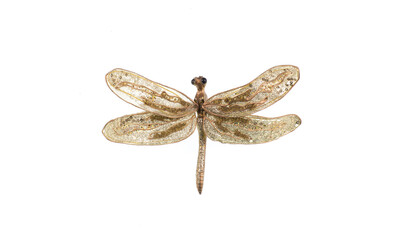 brooch in the shape of a dragonfly on a white background