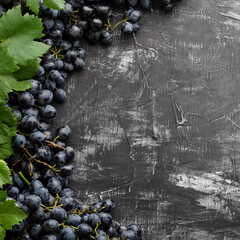 Black juicy grapes on vintage dark concrete background. Frame made of grapes. Copy space for text...