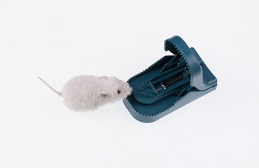 plastic mousetrap on white background