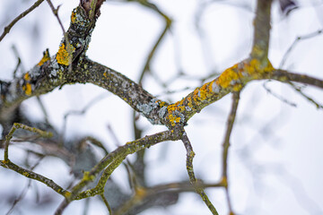 spacer zimą 2 © Natalia