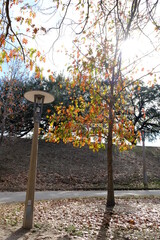 Park Lamp