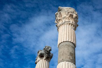 the ancient city door or column of Ephesus, Turkey	
