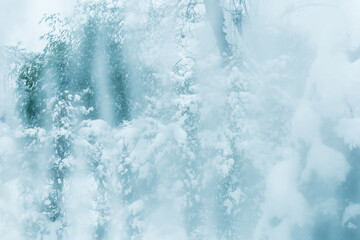 snowy garden behind the window
