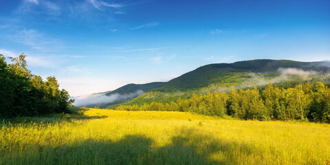 grassy meadow in mountains. fog rolling through the valley above the distant forest. beautiful rural landscape on the summer morning. sunny weather with blue sky