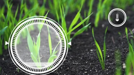 Plant sprout growing and Smart farm technology for detection and control system with red alert icon of low humidity. Innovation technology for agriculture