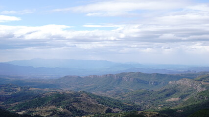 Fototapeta premium forest against mountain background