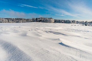 Snowshoe tour at the Gehrenberg near Lake Constance