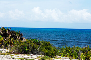 Fototapeta na wymiar landscape from the Mexican coast where you can see the sea and arid vegetation in Tulum