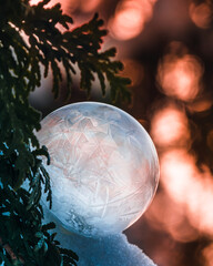 Macro of a frozen soap bubble sitting on a snowy evergreen tree branch. Cold weather winter experiment. Warm sunset tones in the background