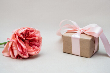 A peony-shaped rose and a gift in craft paper with a pink ribbon. A minimalistic holiday card in a delicate color scheme. A birthday present.