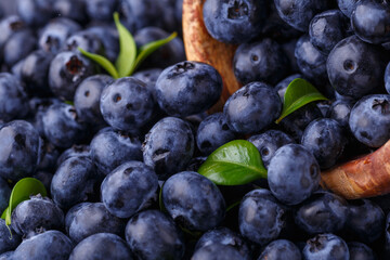 Fresh blueberry background. Blueberry Texture Close Blueberry Antioxidant Organic Superpeed Bowl Concept Healthy Nutrition