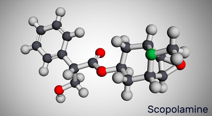Hyoscine, scopolamine. L-Scopolamine molecule. It is natural plant alkaloid, psychoactive, anticholinergic, antimuscarinic drug. Molecular model. 3D rendering