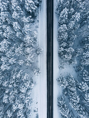 Winter forest. Trees and ground in the snow. View from above. Drone photo.