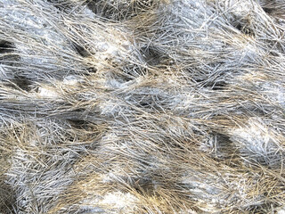 Beautiful green grass under the snow. Snow-covered beautiful grass. Frozen grass background. Top view