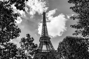 The Eiffel Tower surrounded by green tree leaves in Paris, France