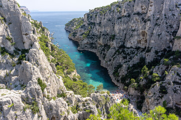 coast of the island of island