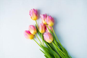 pink tulips on a light background. Top view. copy space. flat lay.