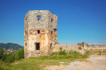 Fototapeta na wymiar Ruins of Pniew Castle