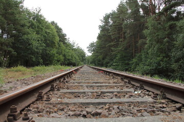 der Weg