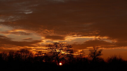Fototapeta premium Sunset in the fields
