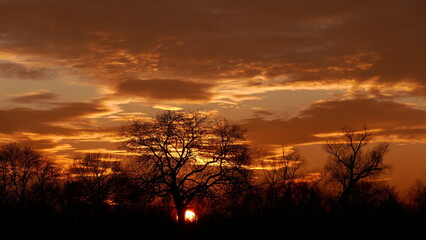 Fototapeta premium Sunset in the fields