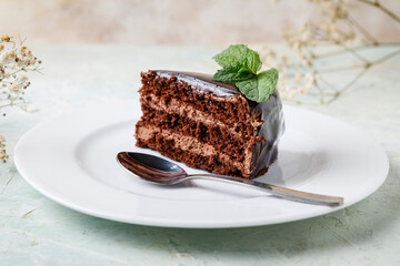 Piece of chocolate cake with mint on white plate