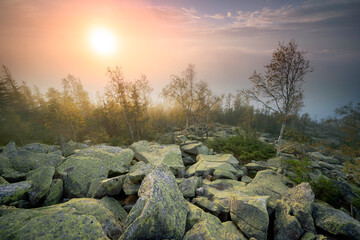 Morning at the top of Mount Yavornik