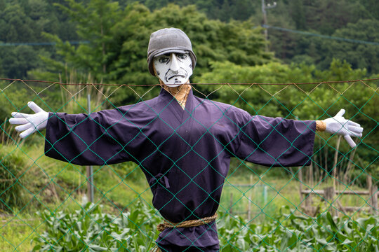 A figurine in the field looking over fence to camera. Scarecrow with white facial mask stand in garden, Japan.